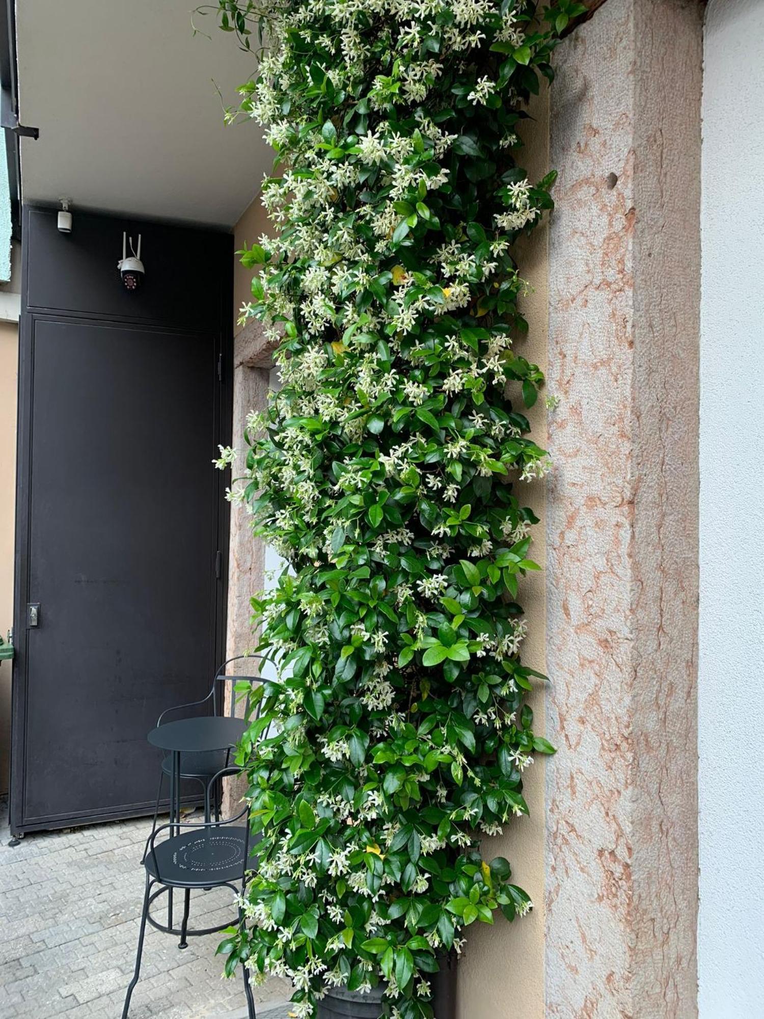 Villa Jasmine Bolzano Bagian luar foto